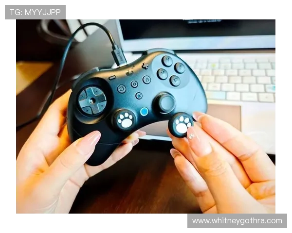 立博亚洲娱乐城专业的技术团队不断优化系统,确保游戏运行稳定顺畅